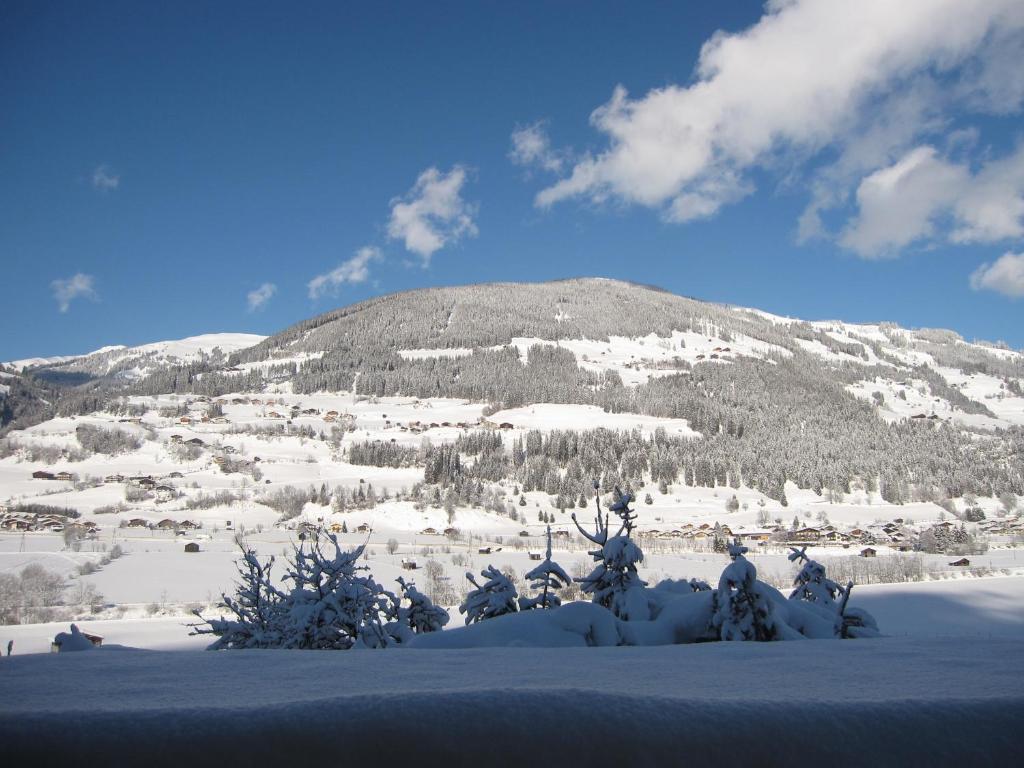 Fasserhof Bramberg am Wildkogel Kamer foto